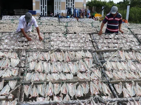 Làng nghề cá khô Vàm Láng nhộn nhịp sản xuất vụ Tết