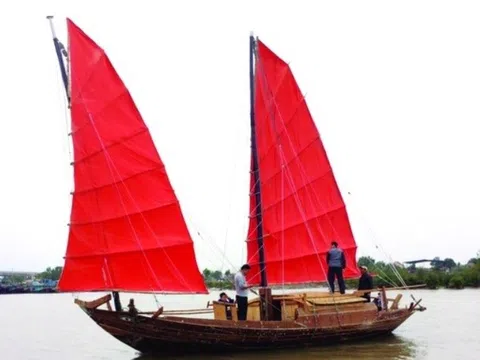 Những cánh buồm ngược gió