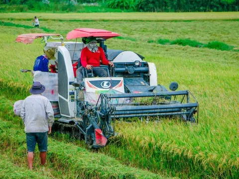 Tháo gỡ khó khăn các chương trình mục tiêu quốc gia