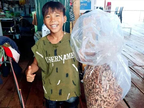Cơn sốt tìm xác ve sầu