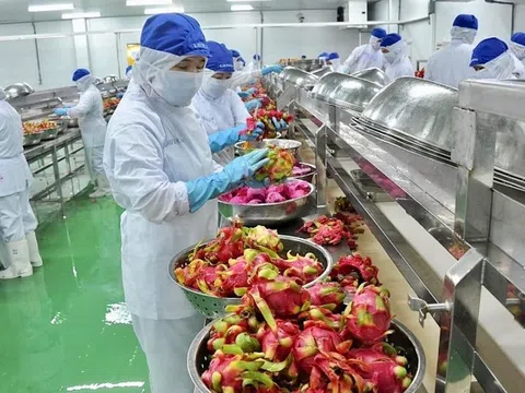 Xuất siêu nông lâm thủy sản tăng 71,5%