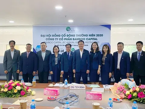 Tập đoàn Bamboo Capital phát hành cổ phiếu ESOP, chuyển trái phiếu thành cổ phiếu: Tiền chảy vào túi ai?